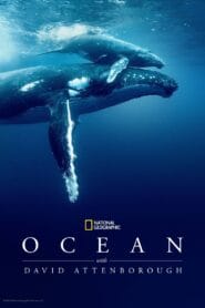Ocean with David Attenborough