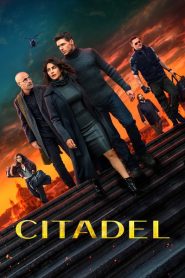 Citadel (2023) Hindi Season 1 Complete