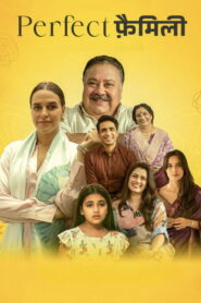 Perfect Family (2025) Hindi Season 1 Complete