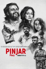 Pinjar (2026) Hindi Dubbed