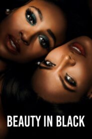 Beauty in Black (2024) Hindi Season 1 Complete Netflix