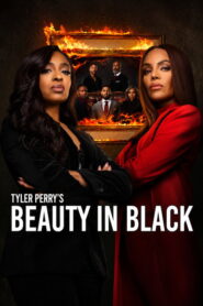 Beauty in Black (2026) Hindi Season 3 Complete Netflix