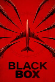 Black Box (2026) Hindi Dubbed AMZN